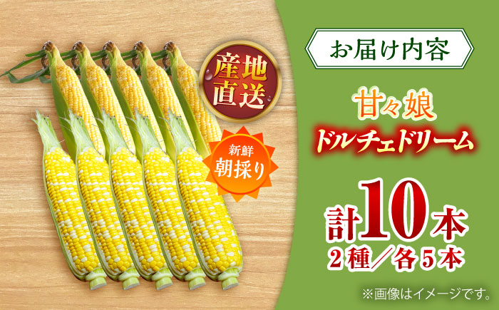 【先行予約】【2026年6月上旬より順次発送】スイートコーン、ドルチェドリームと甘々娘の食べ比べセット とうもろこし【なかむら農園】 [BHCJ003]