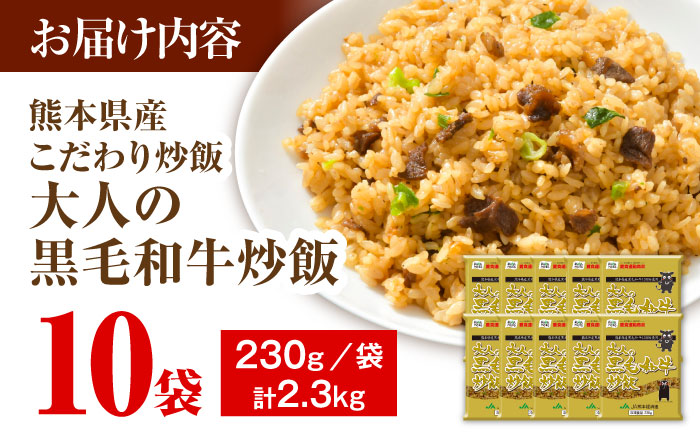 熊本県産 こだわり炒飯 大人の黒毛和牛 計2.3kg (230g×10)【ユーユーフーズ株式会社】 [BHCS003]