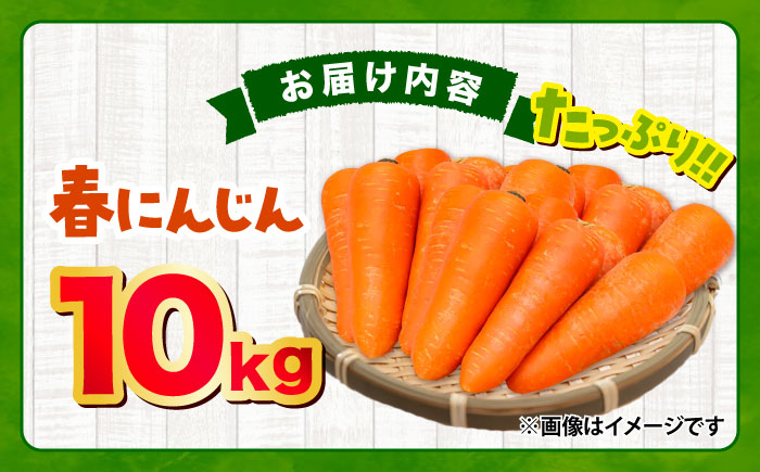 春にんじん10kg / ニンジン 野菜 β-カロテン 食物繊維 抗酸化作用 栄養満点 熊本県産 菊陽町 【株式会社 まゆみ農園】 [BHCW001]