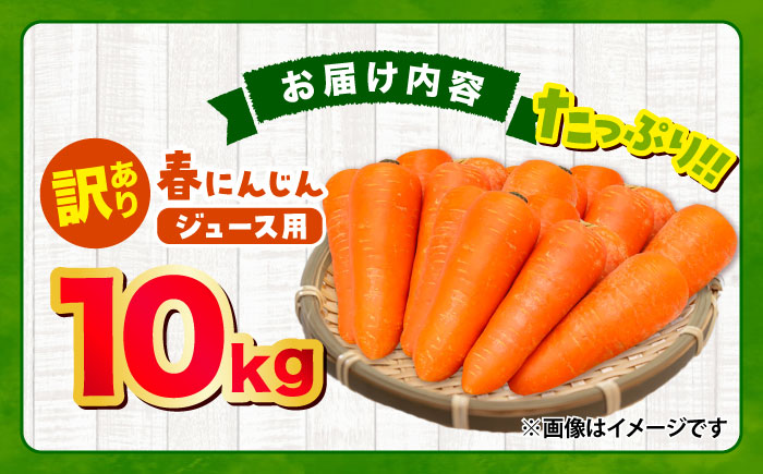 春にんじん10kg(訳あり) / ニンジン 規格外 ジュース 野菜 β-カロテン 食物繊維 抗酸化作用 栄養満点 熊本県産 菊陽町【株式会社 まゆみ農園】 [BHCW002]