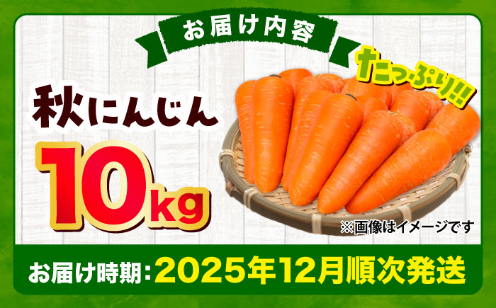 秋にんじん10kg / ニンジン 野菜 β-カロテン 食物繊維 抗酸化作用 栄養満点 熊本県産 菊陽町　【株式会社 まゆみ農園】 [BHCW006]