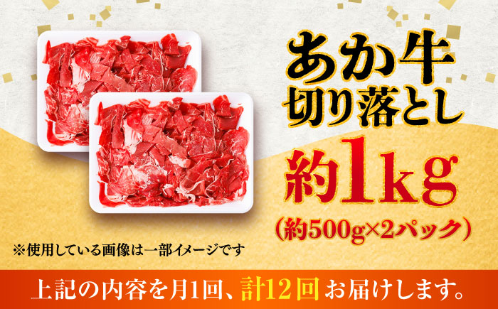 【全12回定期便】あか牛 切り落とし 約1kg (約500g×2P) / 熊本 赤牛 褐牛 あかうし 褐毛和種 肥後 冷凍 国産 牛肉 和牛 切り落とし こま切れ【五右衛門フーズ】 [BHCY008]