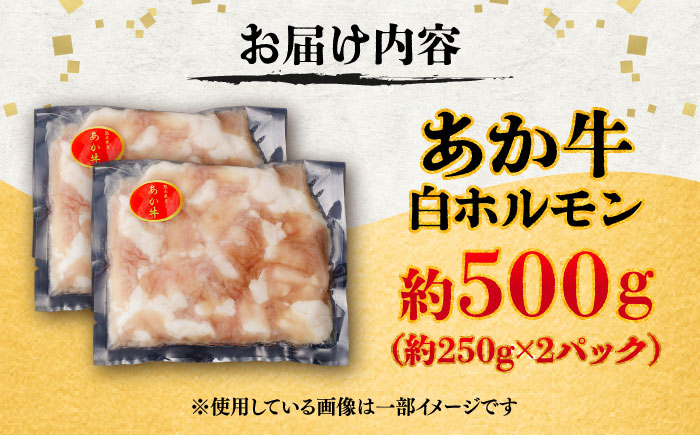 あか牛 白 ホルモン 約500g (約250g×2P) / 牛肉 褐毛和種 ホルモン 肉 九州産 国産牛 熊本県産 小分け あかうし 鍋 焼肉【五右衛門フーズ】 [BHCY009]