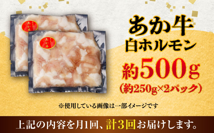 【全3回定期便】あか牛 白 ホルモン 約500g (約250g×2P) / 牛肉 褐毛和種 ホルモン 肉 九州産 国産牛 熊本県産 小分け あかうし 鍋 焼肉【五右衛門フーズ】 [BHCY010]
