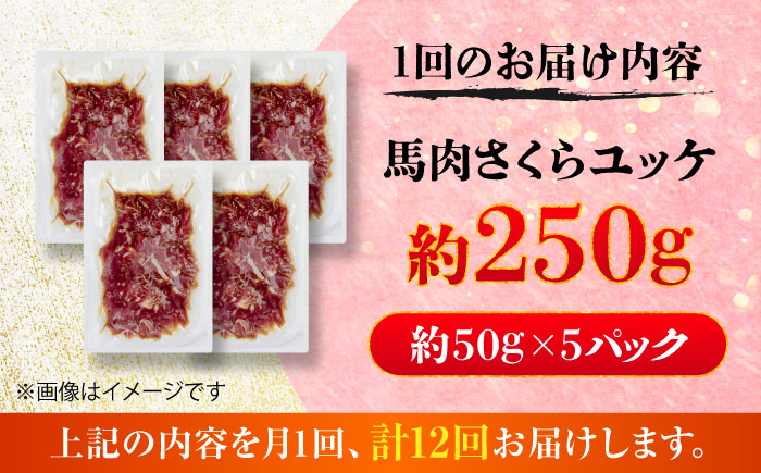【全12回定期便】馬肉さくらユッケ 約250g(約50g×5パック) / 馬肉 ユッケ 馬刺しユッケ 小分け 生食用 熊本肥育 桜ユッケ 馬刺し 熊本県 おつまみ 晩酌 菊陽町【五右衛門フーズ】 [BHCY032]