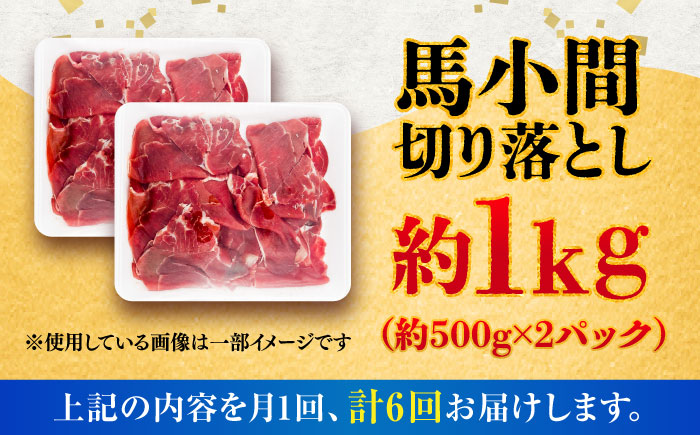 【全6回定期便】馬小間切り落とし 約1kg (約500g × 2パック) / 馬肉 こま切れ きりおとし 切落とし 馬小間 熊本 馬肉 切り落とし ヘルシー【五右衛門フーズ】 [BHCY039]