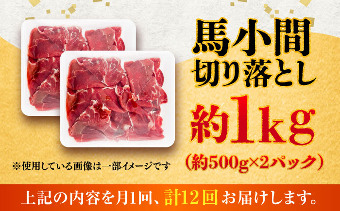 【全12回定期便】馬小間切り落とし 約1kg (約500g × 2パック) / 馬肉 こま切れ きりおとし 切落とし 馬小間 熊本 馬肉 切り落とし ヘルシー【五右衛門フーズ】 [BHCY040]