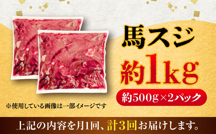 【全3回定期便】馬スジ 約1kg (約500g×2パック) / 馬肉 スジ 馬すじ 煮込み 煮物 カレー お肉 スジ肉 スジ すじ肉 料理用 馬 肉 熊本 すじ【五右衛門フーズ】 [BHCY042]