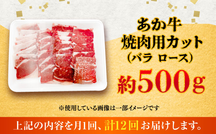 【全12回定期便】熊本あか牛 焼肉用カット(バラ ロース) 約500g / 熊本県 あか牛 あかうし 和牛 焼肉 ロース バラ 牛肉 お肉 褐毛和種 冷凍 国産【五右衛門フーズ】 [BHCY048]