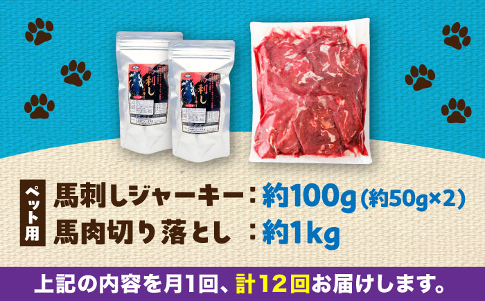 【全12回定期便】詰め合わせ 国内加工 ペット用 馬肉 切り落とし 約1kg ペット用 馬刺しジャーキー 約100g(約50g×2) / ペットフード ドッグフード 愛犬 馬肉【五右衛門フーズ】 [BHCY068]