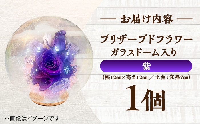 プリザーブドフラワー　ガラスドーム (紫) / 花 プレゼント 贈答用 ガラス 母の日 父の日 入学式 卒業式 菊陽町 熊本県【株式会社 美向】 [BHDC005]
