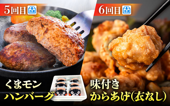 【菊陽町よりすぐり6回定期便】 菊陽町の人気の返礼品が毎月届く！ / 肉 馬刺し 馬肉 赤身 ハンバーグ 味噌 ラーメン [BHZZ008]