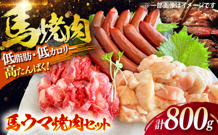馬ウマ 焼肉セット (4～5人前) 合計 約800g / 馬さがり 馬上ホルモン 馬肉ソーセージ 焼肉 熊本県 特産品 馬肉【有限会社菊陽食肉センター】 [BHAC008]