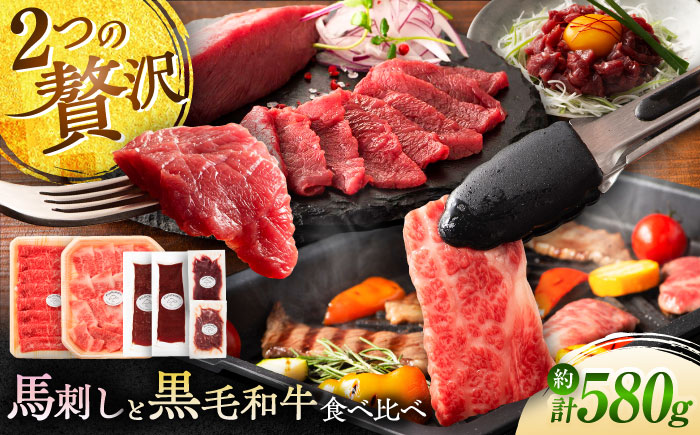 【年内発送は12月11日ご入金分まで！】「熊本特産馬刺しとくまもと黒毛和牛」フジチクオリジナル贅沢食べ比べセット 3905【株式会社フジチク】 [BHAD015]