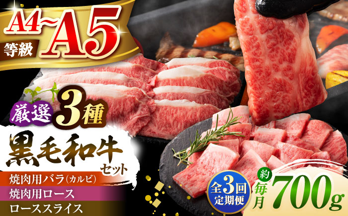 【全3回定期便】くまもと黒毛和牛「藤彩牛」厳選3種の食べ比べ計700g 3902【株式会社フジチク】 [BHAD042]