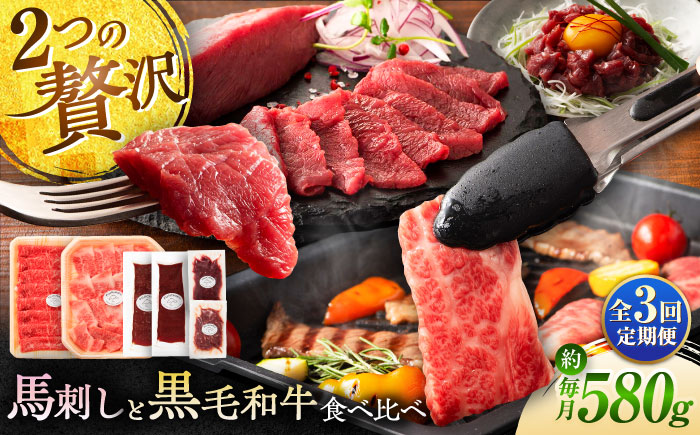 【全3回定期便】「熊本特産馬刺しとくまもと黒毛和牛」フジチクオリジナル贅沢食べ比べセット 3905【株式会社フジチク】 [BHAD051]