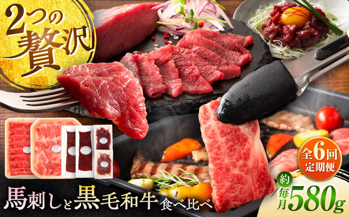 【全6回定期便】「熊本特産馬刺しとくまもと黒毛和牛」フジチクオリジナル贅沢食べ比べセット 3905【株式会社フジチク】 [BHAD052]