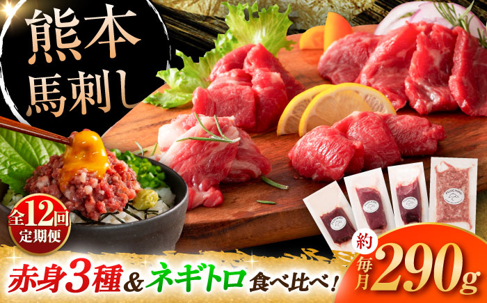 【全12回定期便】【熊本特産】赤身馬刺し3種とネギトロの詰め合わせ 3891【株式会社フジチク】 [BHAD068]