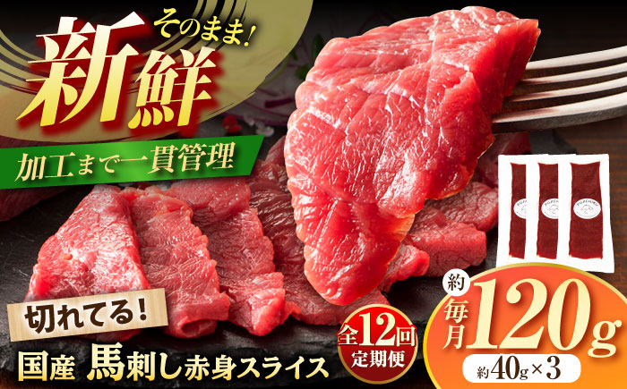 【全12回定期便】まな板不要! フジチク 切れてる 国産馬刺し 3P 計約120g【株式会社フジチク】 [BHAD104]