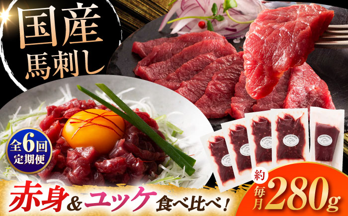 【全6回定期便】国産馬刺し満喫セット【株式会社フジチク】 [BHAD111]
