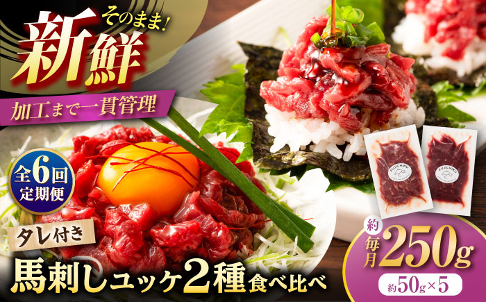 【全6回定期便】「フジチク」ユッケ2種の贅沢食べ比べセット【株式会社フジチク】 [BHAD114]