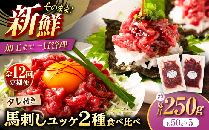 【全12回定期便】「フジチク」ユッケ2種の贅沢食べ比べセット【株式会社フジチク】 [BHAD115]