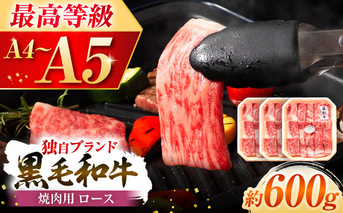 フジチク 藤彩牛 ロース 焼肉用 約600g 牛肉 黒毛和牛 国産【株式会社フジチク】 [BHAD117]