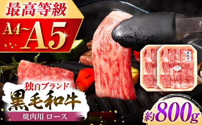 フジチク 藤彩牛 ロース 焼肉用 約800g 牛肉 黒毛和牛 国産【株式会社フジチク】 [BHAD118]