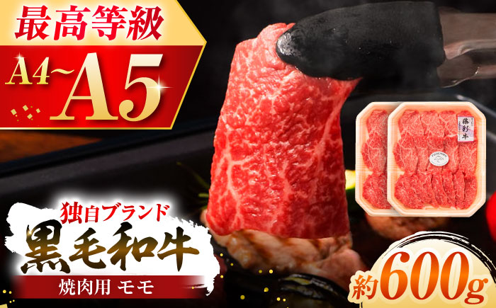 フジチク 藤彩牛 モモ 焼肉用 約600g 黒毛和牛 牛肉 国産【株式会社フジチク】 [BHAD120]
