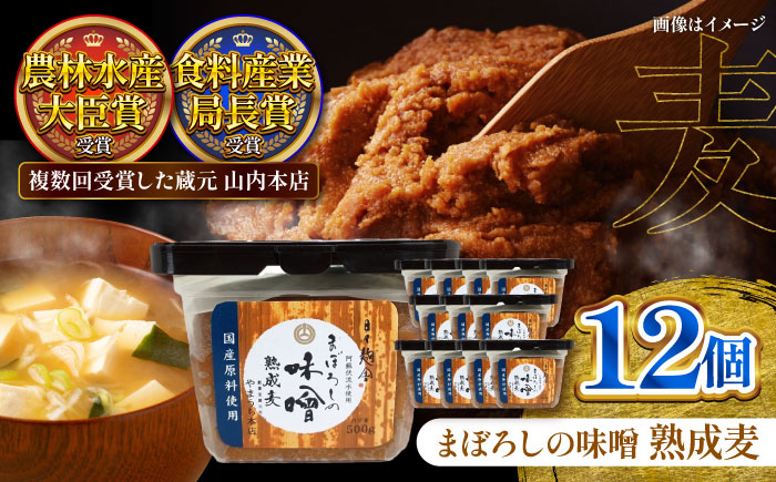 【年内発送は12月11日ご入金分まで！】まぼろしの味噌 熟成麦 500g×12個セット【株式会社山内本店】 [BHAE021]