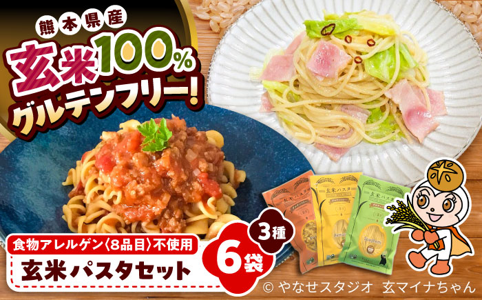 玄米パスタ 3種類各2袋セット / 玄米 特産品 熊本【株式会社熊本玄米研究所】 [BHAF002]