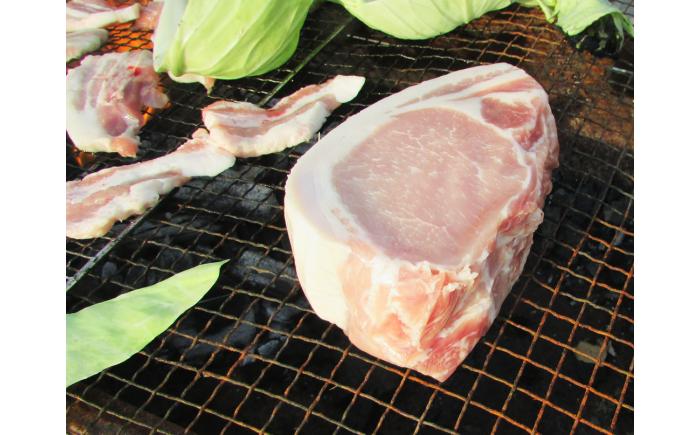 【香心ポーク】ブロック3種セット(計約1.5kg) 豚肉【有限会社コーシン】 [BHAH003]