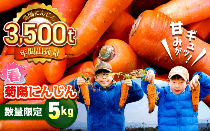 【数量限定】菊陽町の春にんじん 5kg / 人参 ニンジン 5キロ 野菜 熊本県 菊陽町 【有限会社さんふれあ】 [BHAK001]