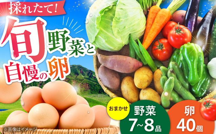 新鮮 卵 と 旬の 野菜 セット (野菜7-8品程度＋40個)  ／  たまご 生卵 タマゴ 詰合せ セット 熊本県 特産品 【有限会社さんふれあ】 [BHAK002]