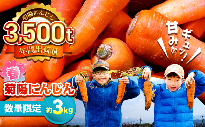 【数量限定】菊陽町の春にんじん 約3kg【有限会社さんふれあ】 [BHAK003]
