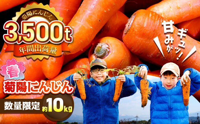 【数量限定】菊陽町の春にんじん 約10kg【有限会社さんふれあ】 [BHAK004]