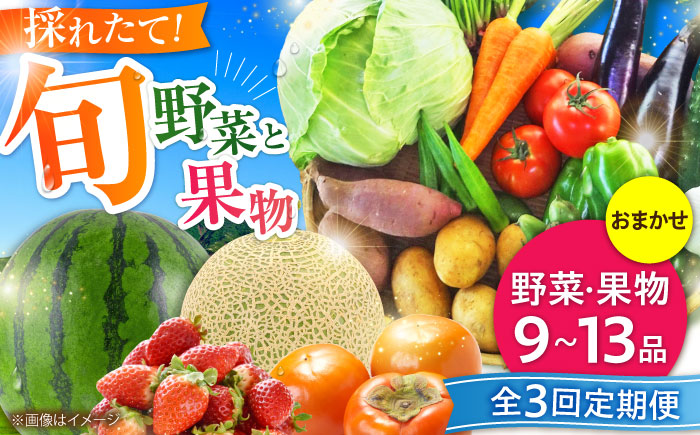 【全3回定期便】菊陽町特産品 「野菜・果物などの詰め合わせ」　 / 新鮮 詰合せ フルーツ 野菜セット 旬 おまかせ にんじん 直売所 やさい くだもの 熊本県 特産品 菊陽町【有限会社さんふれあ】 [BHAK007]