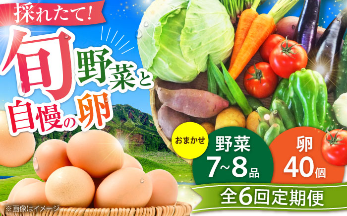 【全6回定期便】【新鮮たまごと旬の野菜セット(野菜7~8品程度＋40個) / たまご 生卵 タマゴ 詰合せ セット 熊本県 特産品【有限会社さんふれあ】 [BHAK010]
