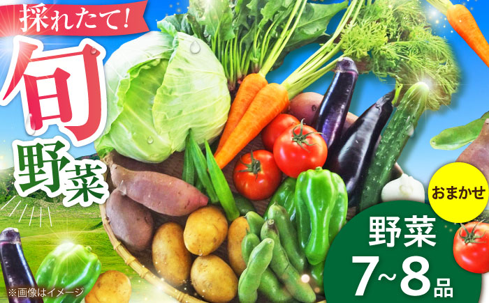 旬の 野菜セット (約3kg/野菜7-8品程度) / 野菜 新鮮 旬 詰合せ セット 熊本県 菊陽町 特産品 【有限会社さんふれあ】 [BHAK023]
