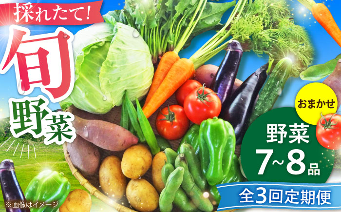 【全3回定期便】旬の 野菜セット (約3kg/野菜7-8品程度) / 野菜 新鮮 旬 詰合せ セット 熊本県 菊陽町 特産品 【有限会社さんふれあ】 [BHAK024]