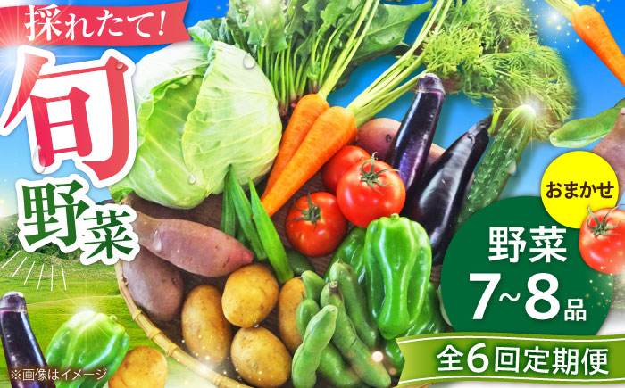 【全6回定期便】旬の 野菜セット (約3kg/野菜7-8品程度) / 野菜 新鮮 旬 詰合せ セット 熊本県 菊陽町 特産品 【有限会社さんふれあ】 [BHAK025]
