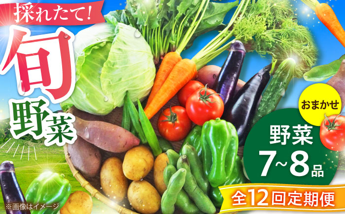 【全12回定期便】旬の 野菜セット (約3kg/野菜7-8品程度) / 野菜 新鮮 旬 詰合せ セット 熊本県 菊陽町 特産品 【有限会社さんふれあ】 [BHAK026]