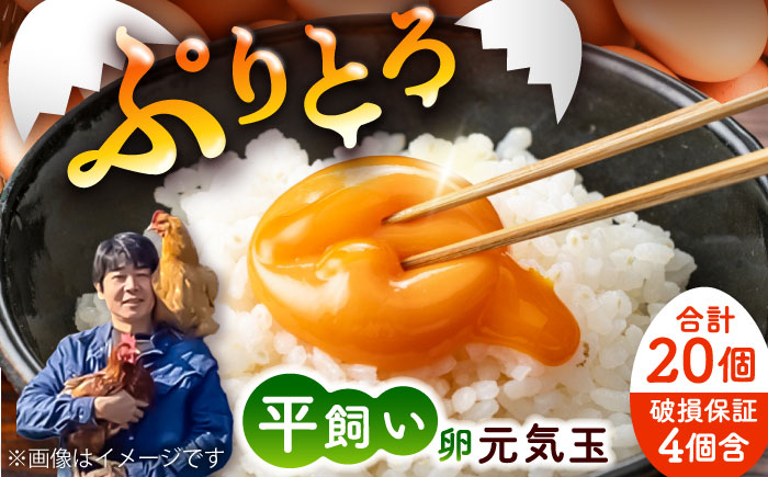 平飼い新鮮たまご 元気玉 計20個(10個×2パック) / 卵 ぷりぷり 新鮮 玉子 オムレツ たまごかけごはん 朝食 タンパク質 平飼い 濃厚 こく 熊本県 菊陽町【ぴよっこファーム】 [BHAP001]
