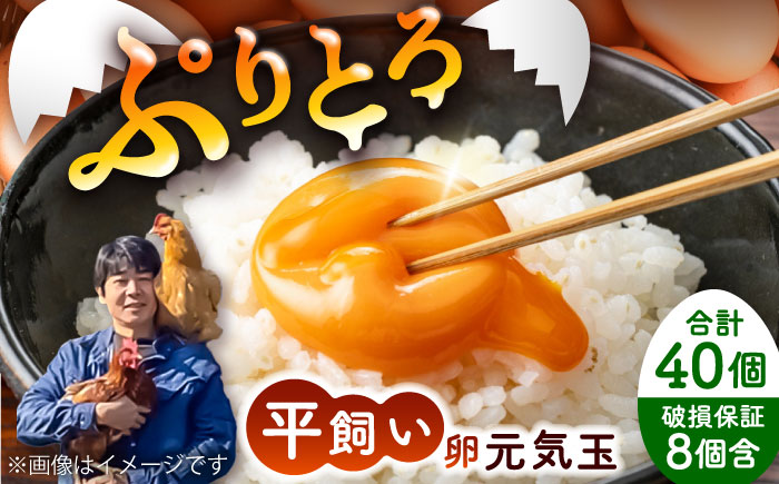平飼い新鮮たまご 元気玉 計40個(10個×4パック) / 卵 ぷりぷり 新鮮 玉子 オムレツ たまごかけごはん 朝食 タンパク質 平飼い 濃厚 こく 熊本県 菊陽町【ぴよっこファーム】 [BHAP002]