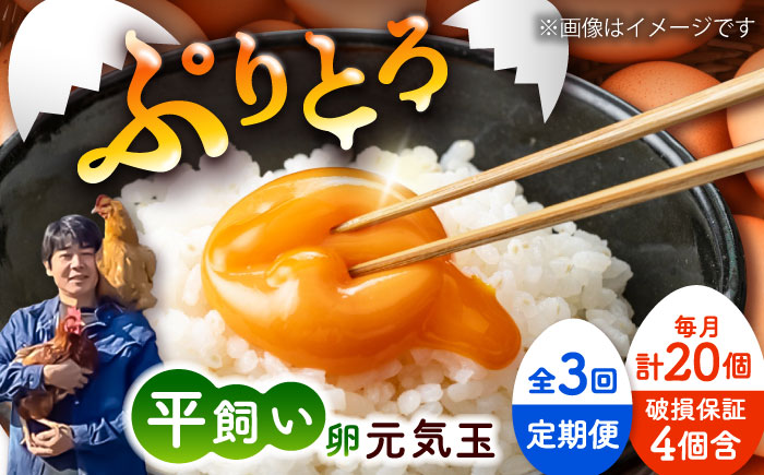 【全3回定期便】平飼い新鮮たまご 元気玉 計20個(10個×2パック) / 卵 ぷりぷり 新鮮 玉子 オムレツ たまごかけごはん 朝食 平飼い 濃厚 こく 熊本県 菊陽町【ぴよっこファーム】 [BHAP003]