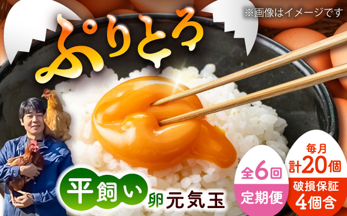 【全6回定期便】平飼い新鮮たまご 元気玉 計20個(10個×2パック) / 卵 ぷりぷり 新鮮 玉子 オムレツ たまごかけごはん 朝食 平飼い 濃厚 こく 熊本県 菊陽町【ぴよっこファーム】 [BHAP004]