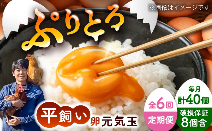 【全6回定期便】平飼い新鮮たまご 元気玉 計40個(10個×4パック) / 卵 ぷりぷり 新鮮 玉子 オムレツ たまごかけごはん 朝食 平飼い 濃厚 こく 熊本県 菊陽町【ぴよっこファーム】 [BHAP007]
