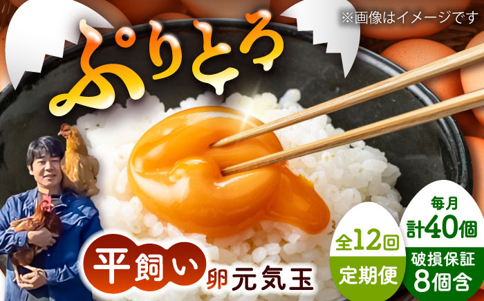 【全12回定期便】平飼い新鮮たまご 元気玉 計40個(10個×4パック) / 卵 ぷりぷり 新鮮 玉子 オムレツ たまごかけごはん 朝食 平飼い 濃厚 こく 熊本県 菊陽町【ぴよっこファーム】 [BHAP008]