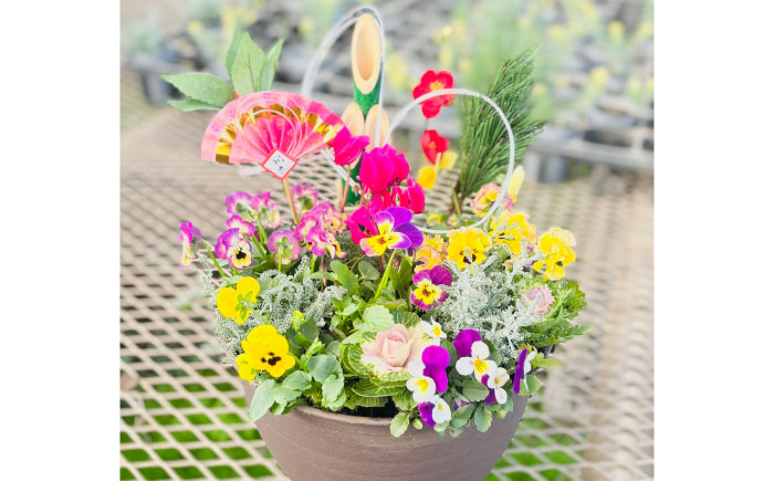 【先行予約】【12月上旬順次発送開始】新年を華やかに彩る お正月の寄せ植え(おまかせ) / 正月飾り 花苗 鉢 ピック【GreenlifeYoshimura】新年を華やかに彩る お正月の寄せ植え(おまかせ) / 正月飾り 花苗 鉢 ピック【GreenlifeYoshimura】 [BHBG001]