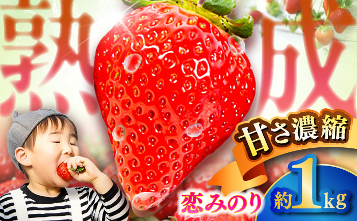 【先行予約】【2026年1月発送開始】 熊本県産 いちご 恋みのり 計1kg (250g×4パック)苺 果物 フルーツ 甘い イチゴ おいしい 熊本県 菊陽町【有限会社 吉岡農園】 [BHBM002]
